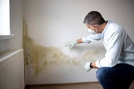 Best Comprehensive Air Testing for Mold Contaminants  in East Glenville, NY